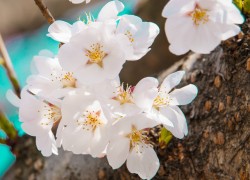 在君临国际娱乐畅享无与伦比的游戏乐趣