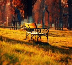 非凡娱乐官网的游戏更新与新内容发布动态