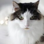 非凡娱乐官网:让你感受游戏与社交的完美结合 hsu7c1p