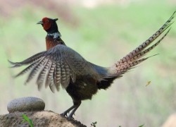 非凡娱乐平台的客户服务与支持体系