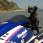 非凡娱乐官网:探索无限可能的娱乐平台 kdgoh2