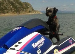 非凡娱乐官网:探索无限可能的娱乐平台