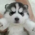 非凡娱乐官网:玩家们分享的成功故事与经验 qli79