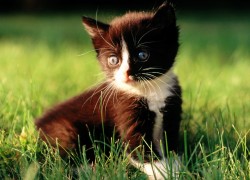 如何在非凡娱乐下载中参与赛事与竞技活动